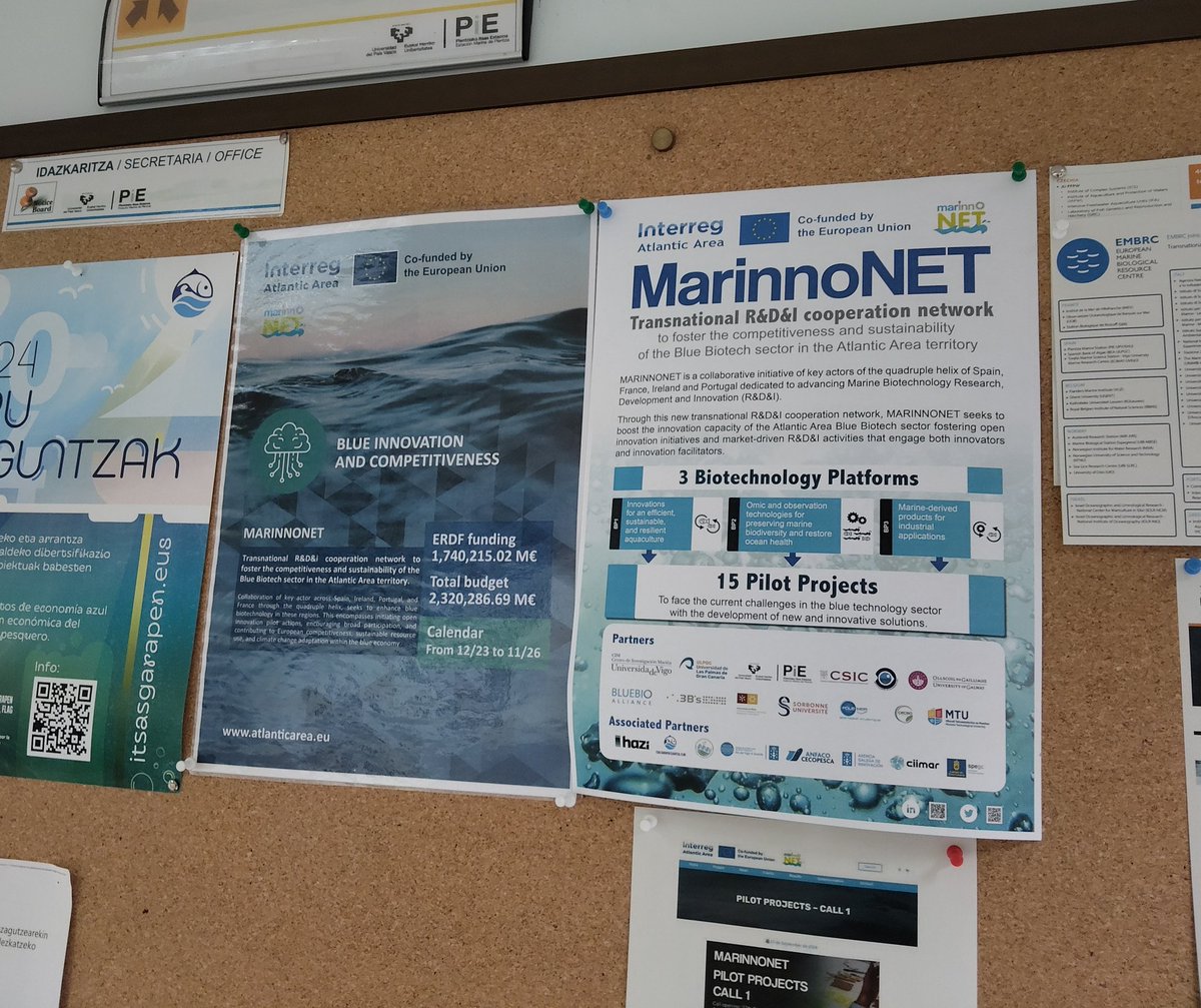 Ibon Cancio tweet media