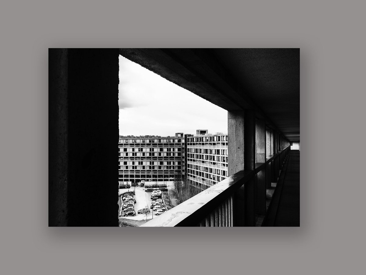 Martin Dust Photography tweet media