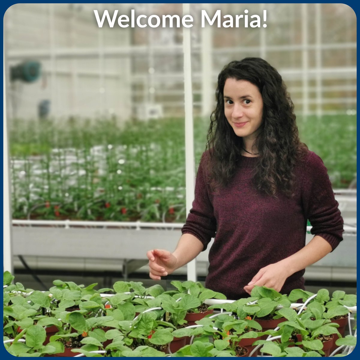 soil_tech's tweet image. Two weeks ago Maria Athanasiou started with us as plant scientist in our R&amp;amp;D team. As part of her studies, she worked extensively on enhancing plant resilience.
She already feels very much at ease at Soiltech and she is looking forward to achieve some beautiful results!
