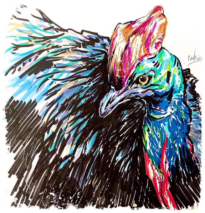 絵は荒っぽいぐらいが良い時もあるし、丁寧な時が良い時もありますね。その時その時を楽しんでいます。#ヒクイドリ #鳥イラスト #絵柄が好きって人にフォローされたい 