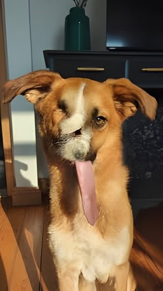 With my ugly appearance, no one really wants to care about me..😣💔