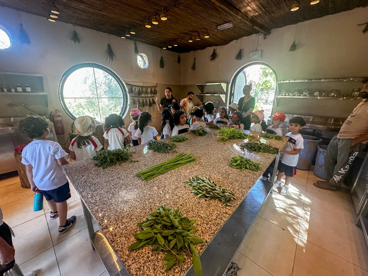 sekqatar's tweet image. Our trip to Torba Farms was a perfect mix of fun and learning! 🌿 From animal observations and rock painting to sharing a healthy meal, students explored Who We Are and how choices impact well-being. 🌱✨#PYP #NatureLearning #HealthyChoices