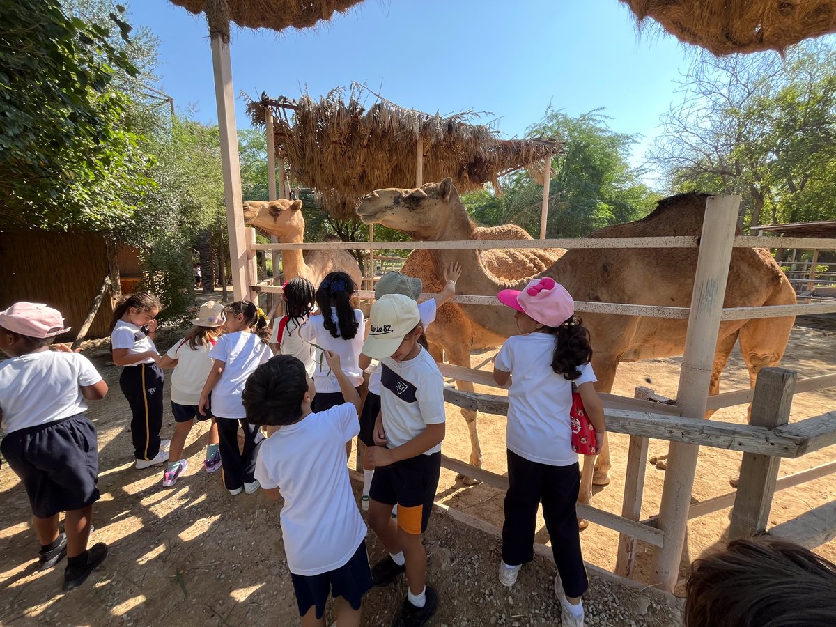 sekqatar's tweet image. Our trip to Torba Farms was a perfect mix of fun and learning! 🌿 From animal observations and rock painting to sharing a healthy meal, students explored Who We Are and how choices impact well-being. 🌱✨#PYP #NatureLearning #HealthyChoices