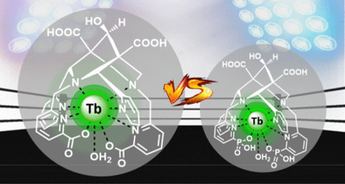 bhkenlo's tweet photo. Octadentate Bispidine Chelators for Tb(III) Complexation: Pyridine Carboxylate versus Pyridine Phosphonate Donors | Inorganic Chemistry https://t.co/0NYkMZZAOx Nonat and co-workers @InorgChem #terbium #octadentate #bispidine #pyridinephosphonate #picolinate #luminescence https://t.co/XXHFO2ydoX