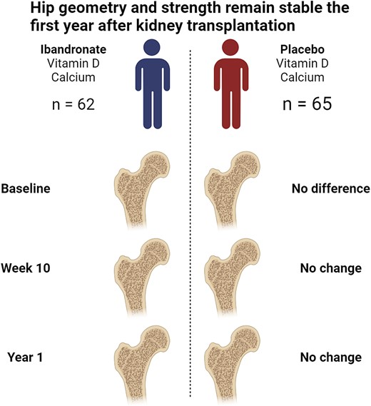 JBMRPlus (@jbmrplus) on Twitter photo Researchers in this #JBMRPlus article report that hip geometry and strength parameters remained stable during the first year after kidney transplantation irrespective of bisphosphonate use. <a href="/markushovd/">Markus Hovd</a> <a href="/OUPMedicine/">OUP Medicine</a> <a href="/ASBMR/">ASBMR</a>
Read more here: doi.org/10.1093/jbmrpl… Researchers in this #JBMRPlus article report that hip geometry and strength parameters remained stable during the first year after kidney transplantation irrespective of bisphosphonate use. <a href="/markushovd/">Markus Hovd</a> <a href="/OUPMedicine/">OUP Medicine</a> <a href="/ASBMR/">ASBMR</a>
Read more here: doi.org/10.1093/jbmrpl…