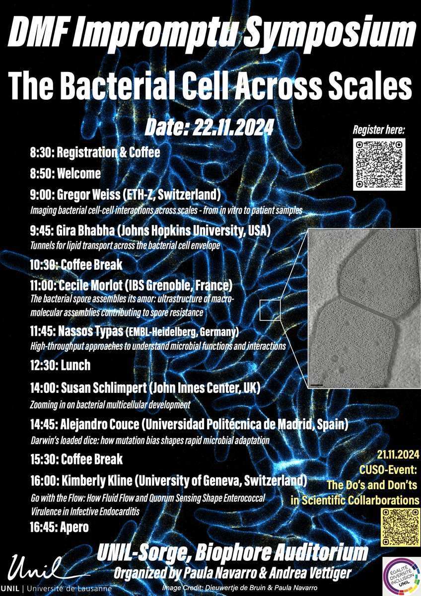 Andrea Vettiger (@avettiger) on Twitter photo ❗️This Friday❗️ <a href="/DMF_UNIL/">DMF UNIL</a> Impromptu Symposium on bacterial cell biology. Featuring: @GregorWeiss1, <a href="/BhabhaEkiertLab/">BhabhaEkiertLab</a>, <a href="/MorlotCecile/">Cécile Morlot</a>, <a href="/TypasLab/">Typas Lab</a>, <a href="/SusanSchlimpert/">Susan Schlimpert</a>, <a href="/EvolSys/">Alex Couce</a>, <a href="/KimInGeneva/">Kimberly Kline 🏔</a>
Join us for an exciting day of Science! ❗️This Friday❗️ <a href="/DMF_UNIL/">DMF UNIL</a> Impromptu Symposium on bacterial cell biology. Featuring: @GregorWeiss1, <a href="/BhabhaEkiertLab/">BhabhaEkiertLab</a>, <a href="/MorlotCecile/">Cécile Morlot</a>, <a href="/TypasLab/">Typas Lab</a>, <a href="/SusanSchlimpert/">Susan Schlimpert</a>, <a href="/EvolSys/">Alex Couce</a>, <a href="/KimInGeneva/">Kimberly Kline 🏔</a>
Join us for an exciting day of Science!