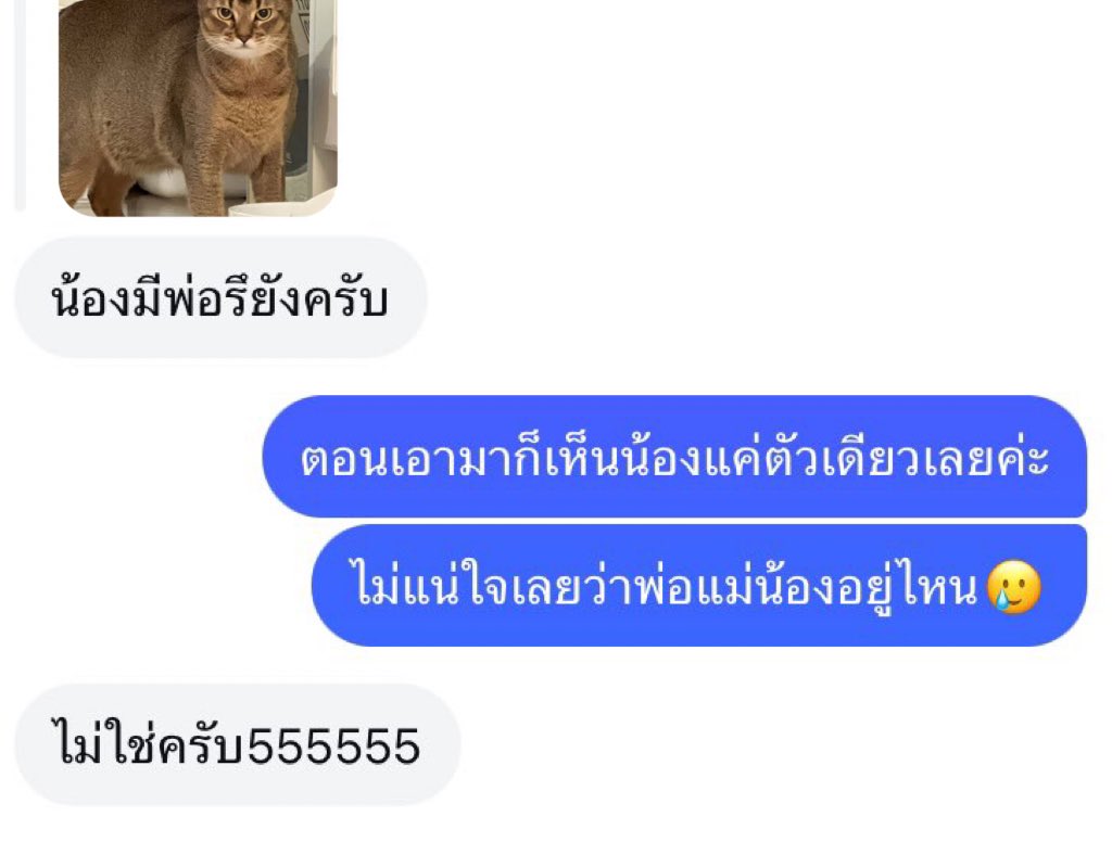 นซ kim tweet media
