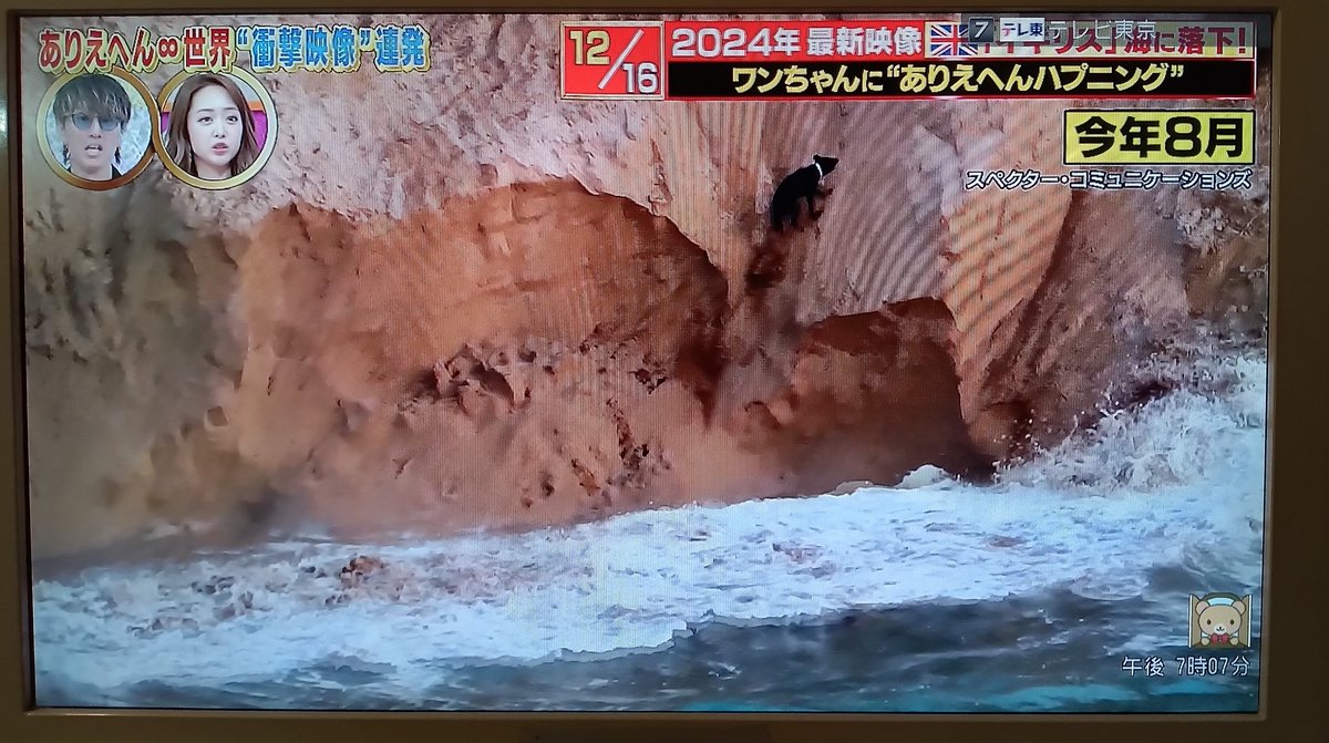 snakake_Subeter's tweet photo. @Spector @dave_spector @Spector_TV @AFP @CEN @YahooNewsTopics @cosmov @cnn_co_jp @CCTV @indiatvnews @videopost_jp @ViralHog @StringersHub #テレビ朝日映像撮影部 #日テレ投稿ボックス @gettyimagesJPN 
#28lab @Newsflare  @tiktok_lite_jp 
本当にスペクターコミュニケーション映像け❓️😄 https://t.co/URHs8OT12c