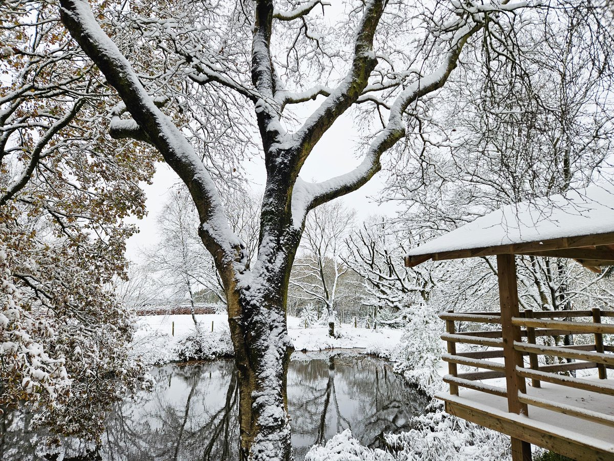 TheOaksBarn's tweet photo. Welcome to our Winter Wonderland ❄️🌨️☃️
#theoaksbarnwedding #snowday #lovewhereyoulive  #barnwedding #barnweddingvenue #staffssnaps #staffordshiremoorlandswedding #staffordshiremoorlands #November #novembersnow

@bbcweather
#staffssnaps
@itvweather
@Official_WXUK
@BBCRadioStoke https://t.co/bZ1ajwpq1m