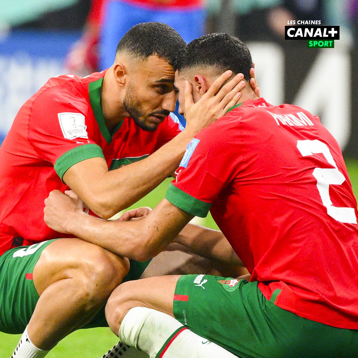 CANAL+ SPORT Afrique tweet media