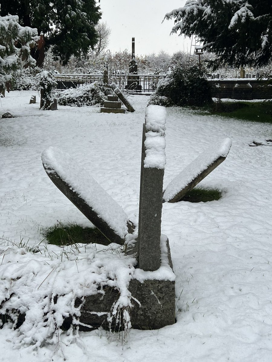 Alison Jean Lester tweet media