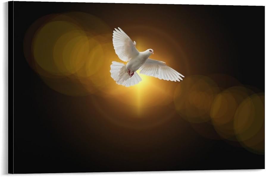 dhdhsuj's tweet photo. @cb_doge peacedove https://t.co/gpnlbW4860