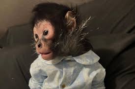 Help get $JORGIE listed on Coin Marketcap in order to grow awareness!!
Vote to get it listed here: coinmarketcap.com/dexscan/solana…

#healjorgie