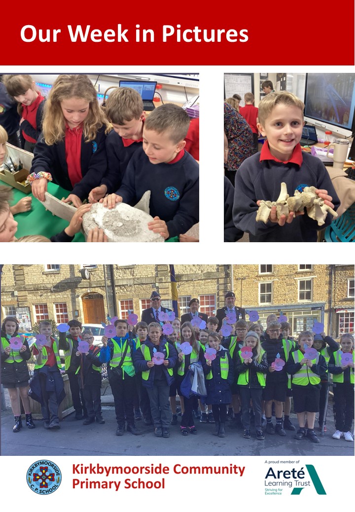 Kirkbymoorside Community Primary School tweet media