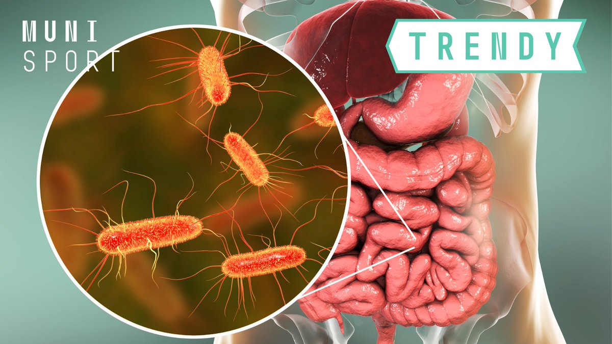 Low energy intake can negatively affect sports performance, bone health, and gut microbiome balance. Adam Wagner’s research studies how varying energy availability impacts endurance women athletes. Participants needed – more info at fsps.muni.cz/en/articles/ho….