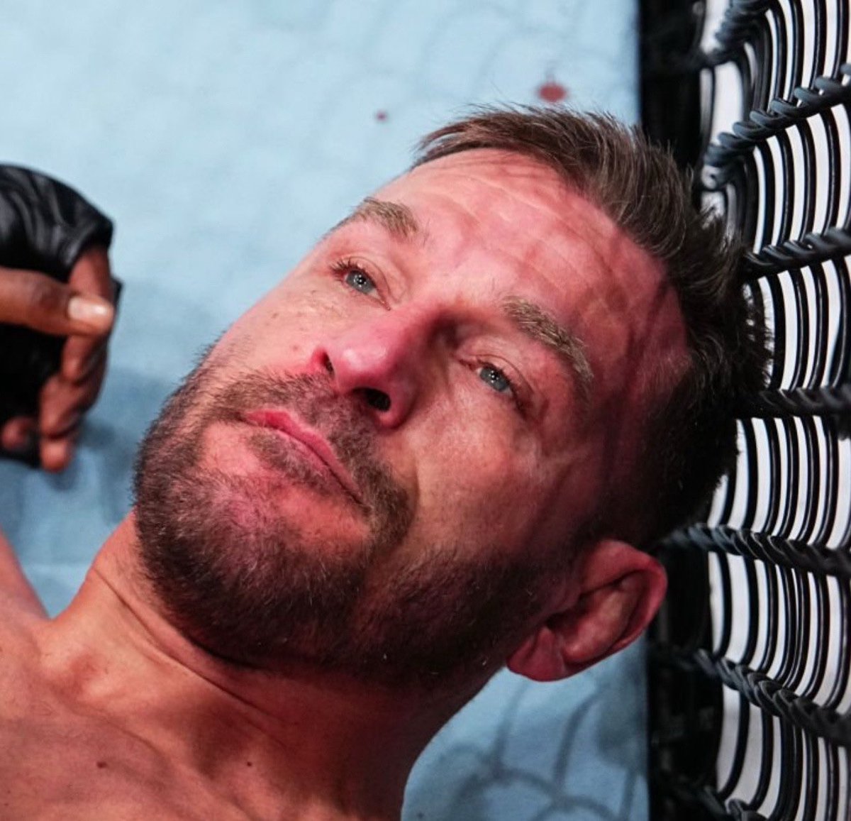 ACD MMA tweet media