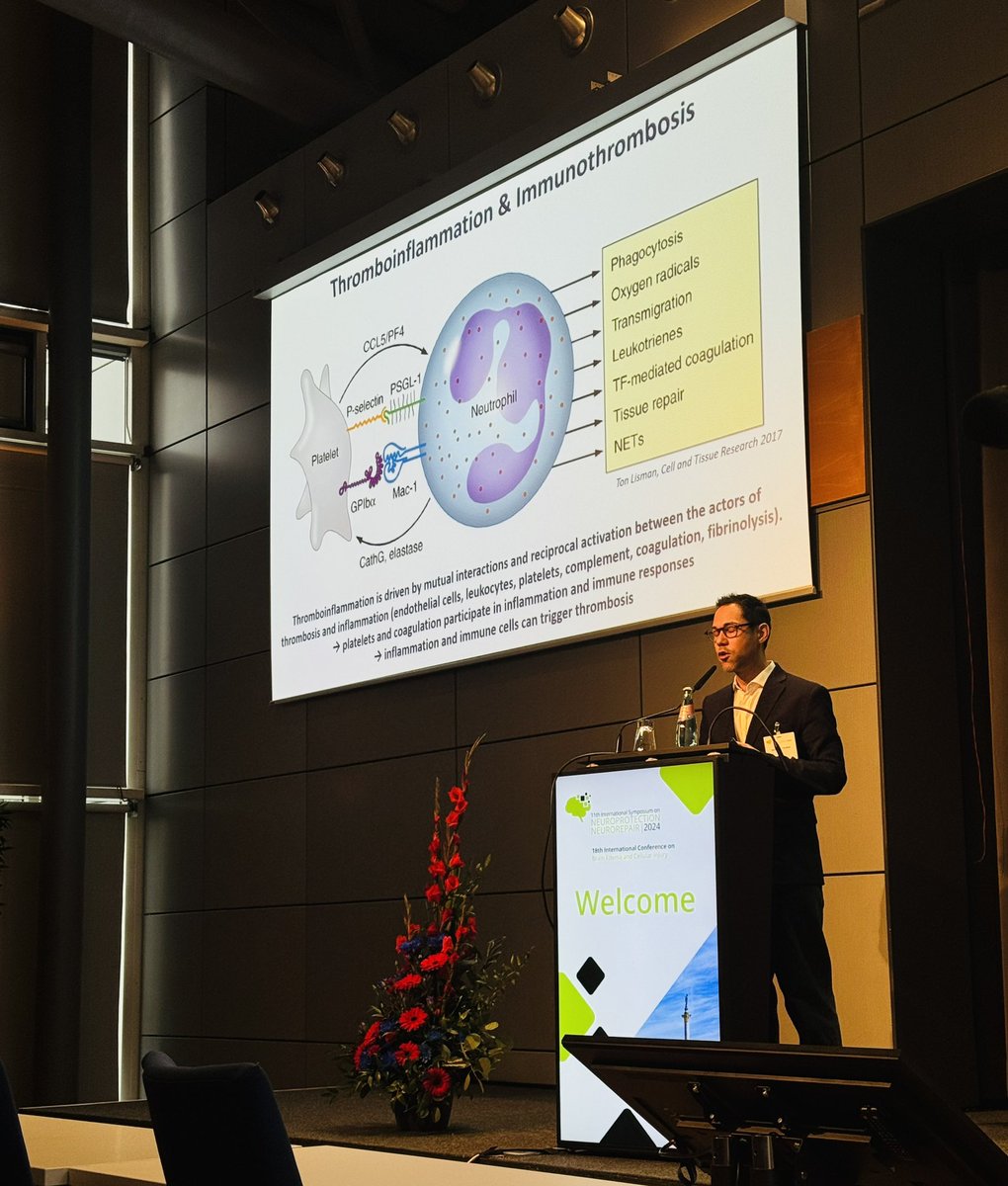 Sara Martinez de Liz tweet media