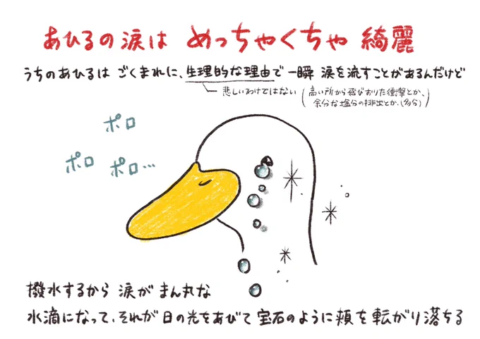みんなが知らないこと 