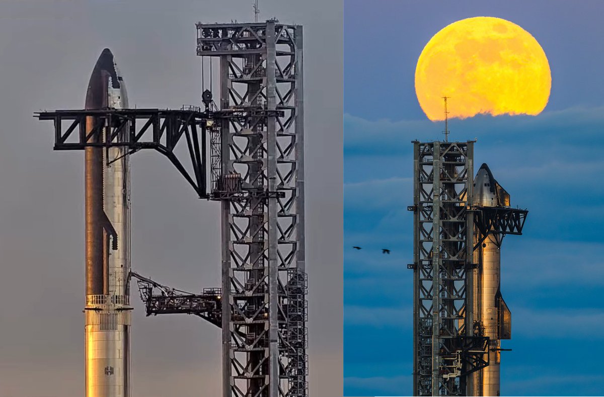 Alive Universe tweet media