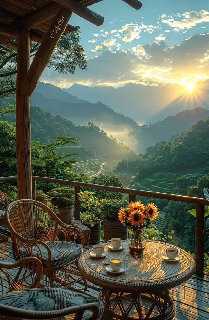 Assalamualaikum
Good evening 🌆