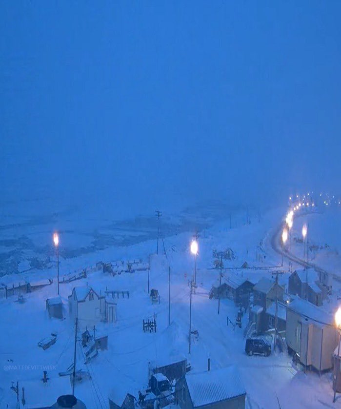 Gorka Orive tweet media