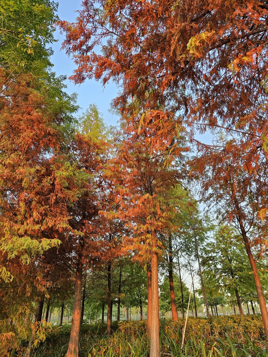 zhishen77's tweet photo. 一天两次，两个城市，晚上北京见 https://t.co/UeS9ZQ9mWg