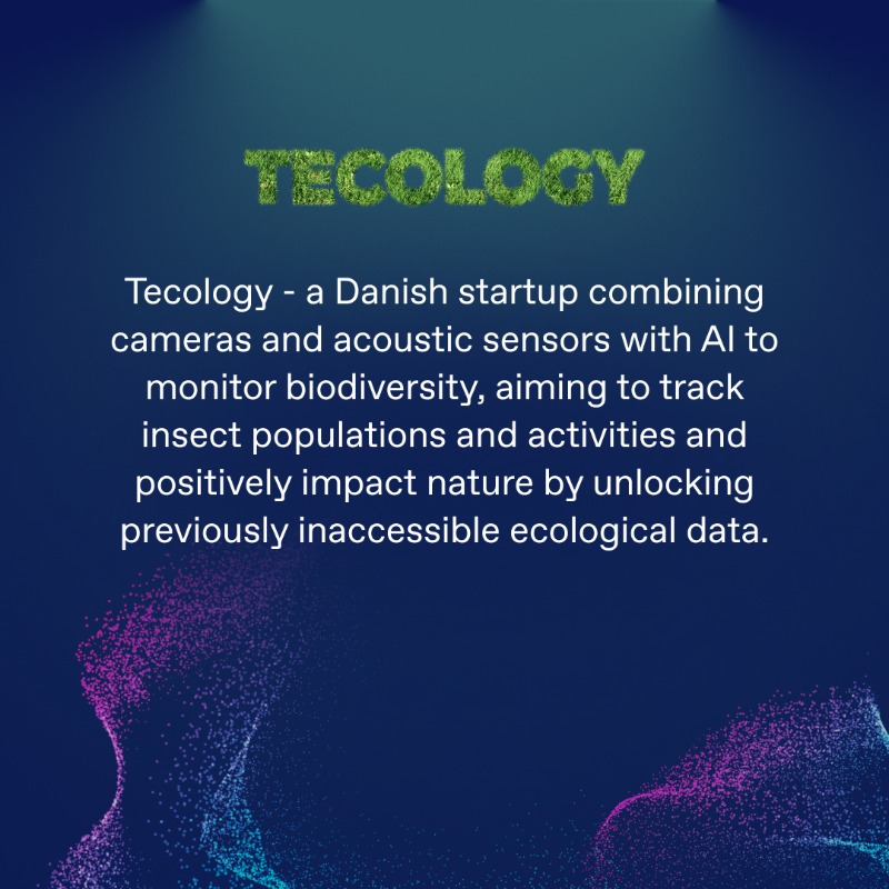 NorthernDataGrp's tweet photo. We are pleased to announce the innovative startups selected for our first-ever #AIAccelerator. Learn more: https://t.co/oclzY1DeTM