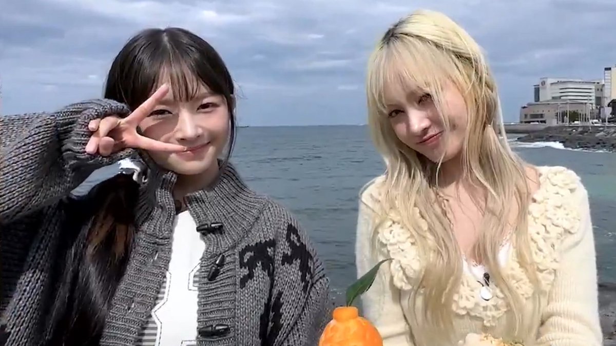 ✧( ु•⌄• )◞◟( •⌄• ू )✧