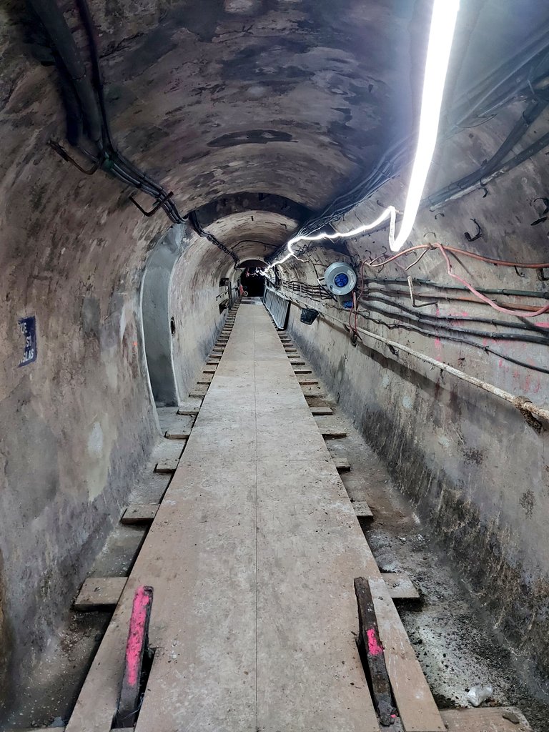 The Sewer the better tweet media