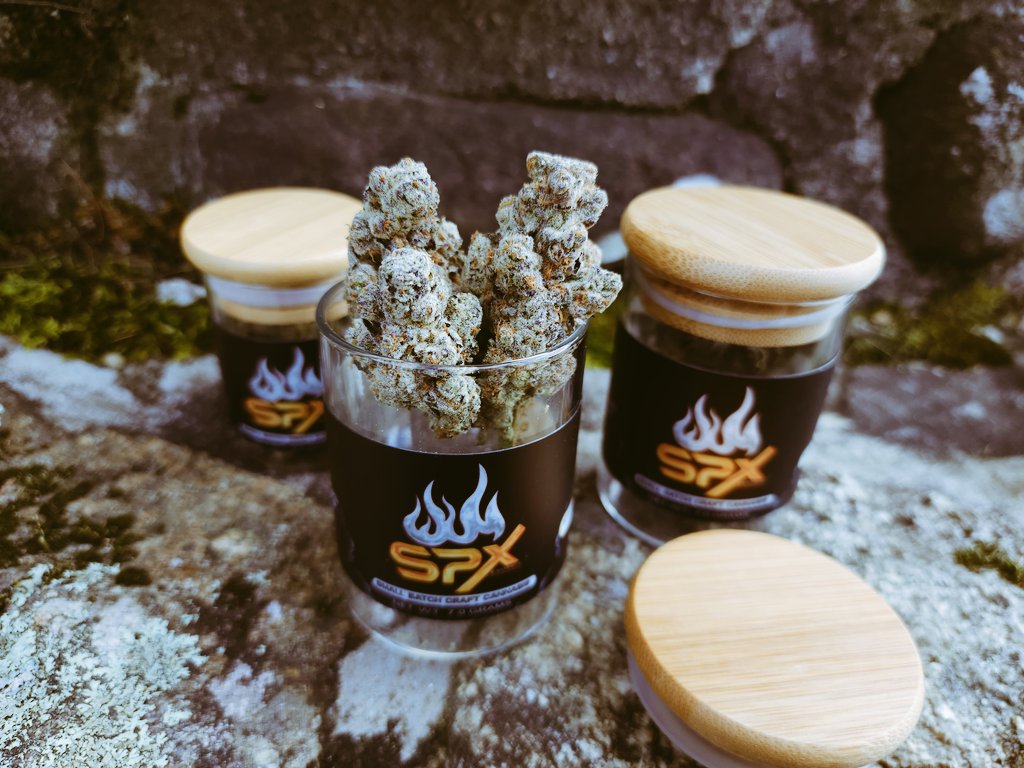MainelyGenetics's tweet photo. Buzz 14
Gass gass gass
That real gas. Like actual gas in a can thats been sitting for 2 years. ⛽️🔥🔥
✂️cuts on deck✂️✂️
Limited release so get it while you can.
#mainelycuts
#mainelyorganics #SpxExotics #mainelyorganicsgenetics  #cannabisindustry #cannabis #phenohunt https://t.co/log3JbjEqk