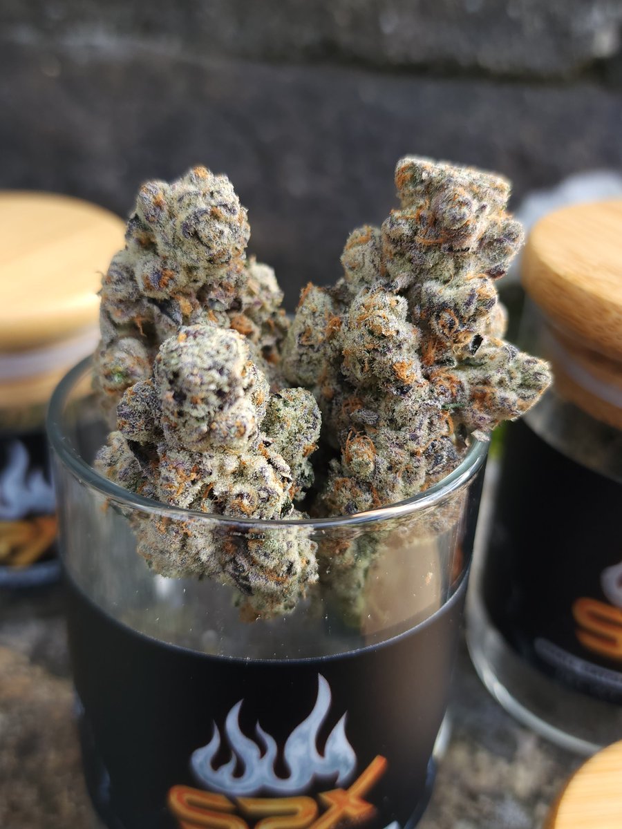 MainelyGenetics's tweet photo. Buzz 14
Gass gass gass
That real gas. Like actual gas in a can thats been sitting for 2 years. ⛽️🔥🔥
✂️cuts on deck✂️✂️
Limited release so get it while you can.
#mainelycuts
#mainelyorganics #SpxExotics #mainelyorganicsgenetics  #cannabisindustry #cannabis #phenohunt https://t.co/log3JbjEqk