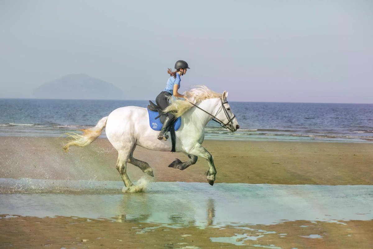 The Scotsman tweet media