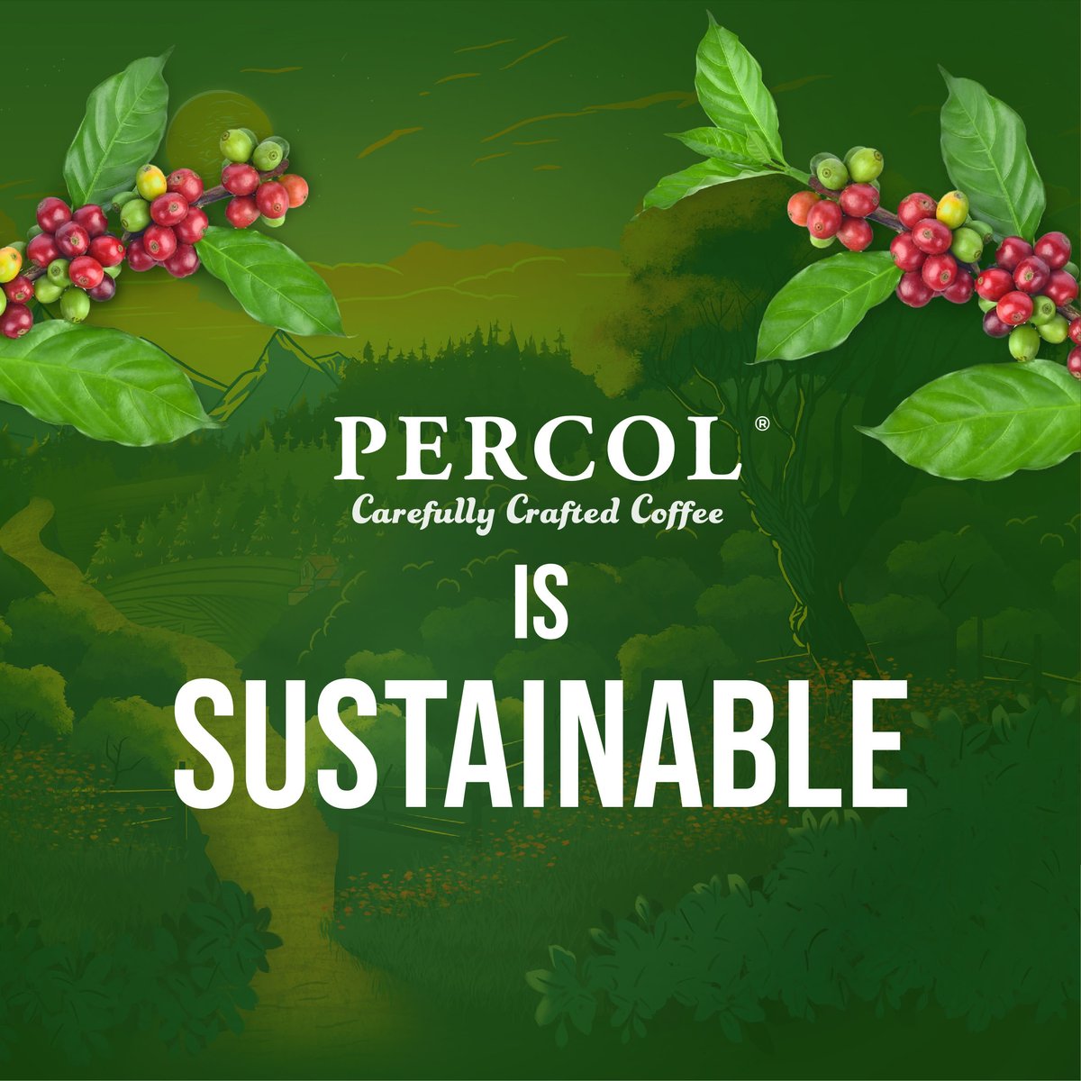 Percol_Coffee's tweet image. Sustainability starts with your coffee! 🌍☕ At Percol, we’re making every cup eco-friendly, from sourcing to packaging. Join us in creating a sustainable future. 💚 #Percol #EcoFriendly #OrganicCoffee