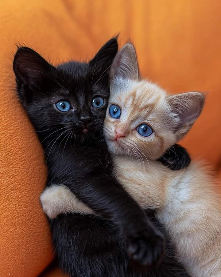 Great photography 🥰