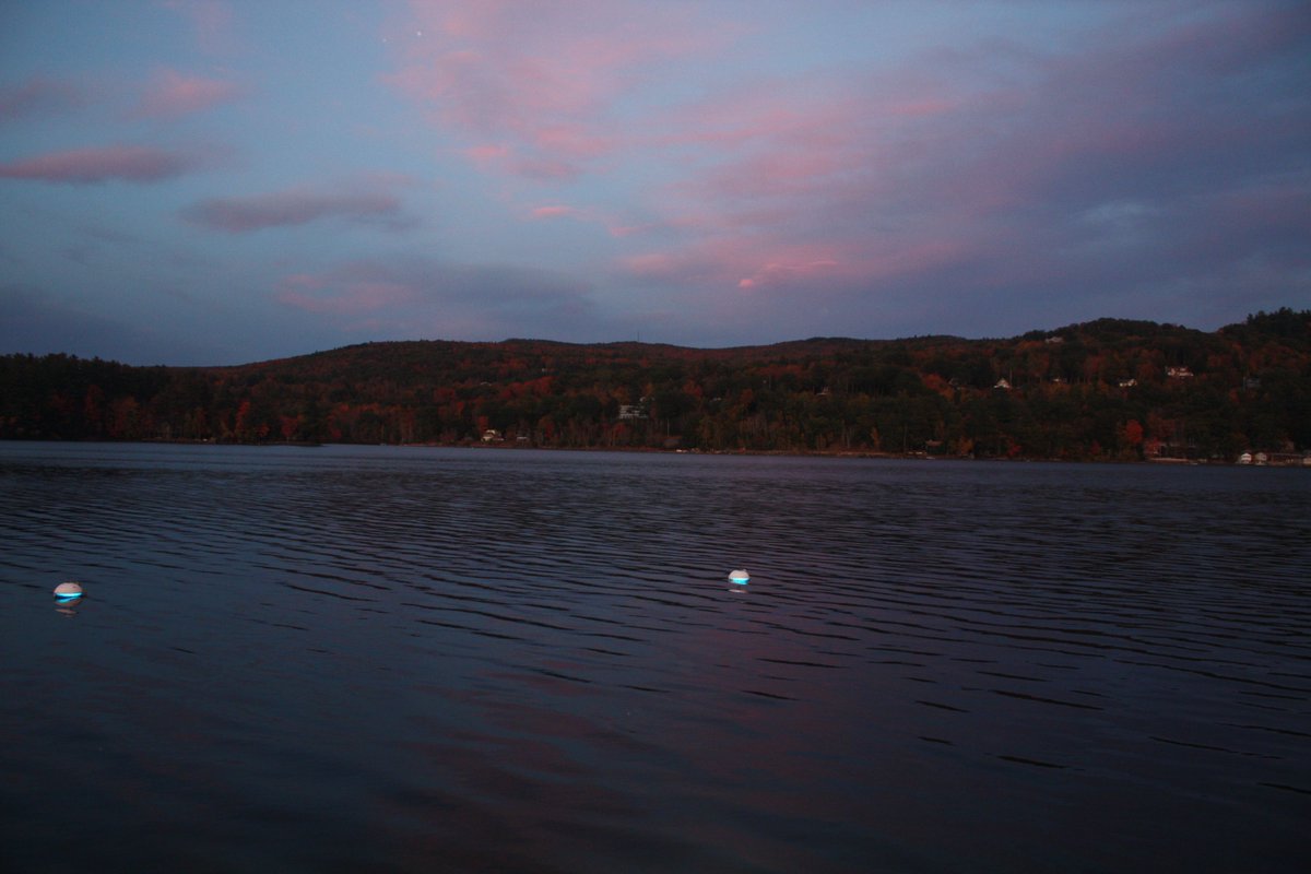 NewfoundRentals's tweet photo. Experience stunning water view cottage rentals in Newfound. Perfect for a peaceful and scenic getaway. https://t.co/P5hI5iUzs9
#NewfoundCottageRentals #Newfound #CottageRentals #WaterView #VacationGetaway https://t.co/x68K0LLnxT