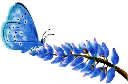 For the 0 people that will see this, follow my radical skeets on the butterfly network, same handle.