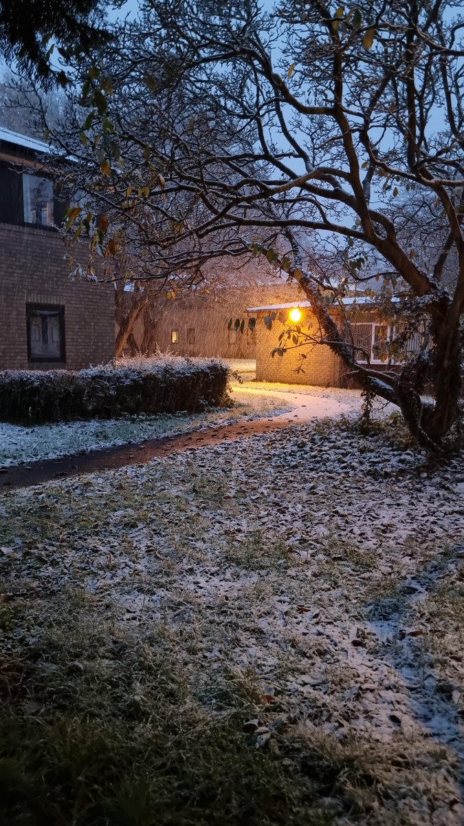 A snowy start to the day in the Department of Psychiatry this morning ❄️

📷 Taken by an early bird member of staff
