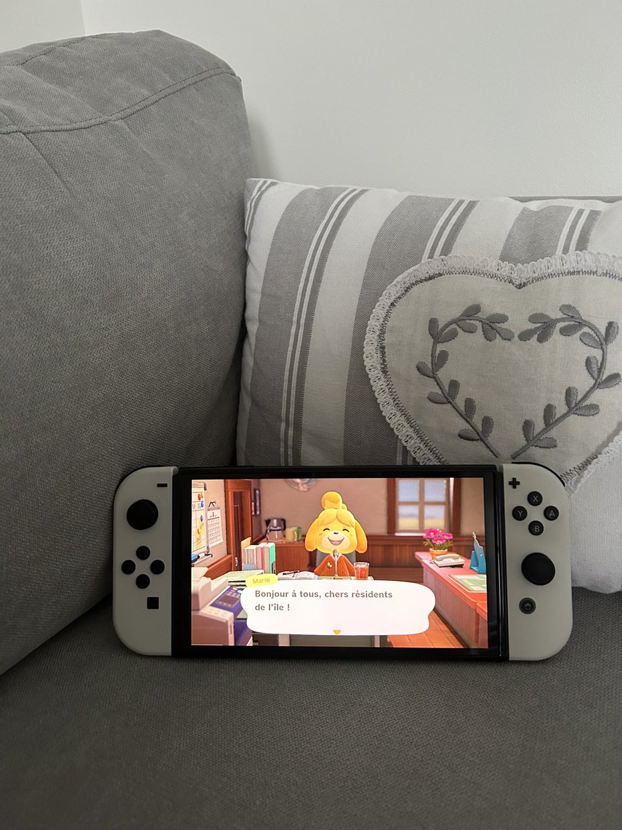 tinydiary22's tweet image. Bonjour ici, petite pause sur ACNH pour ma part, passez une bonne journée 🤍.