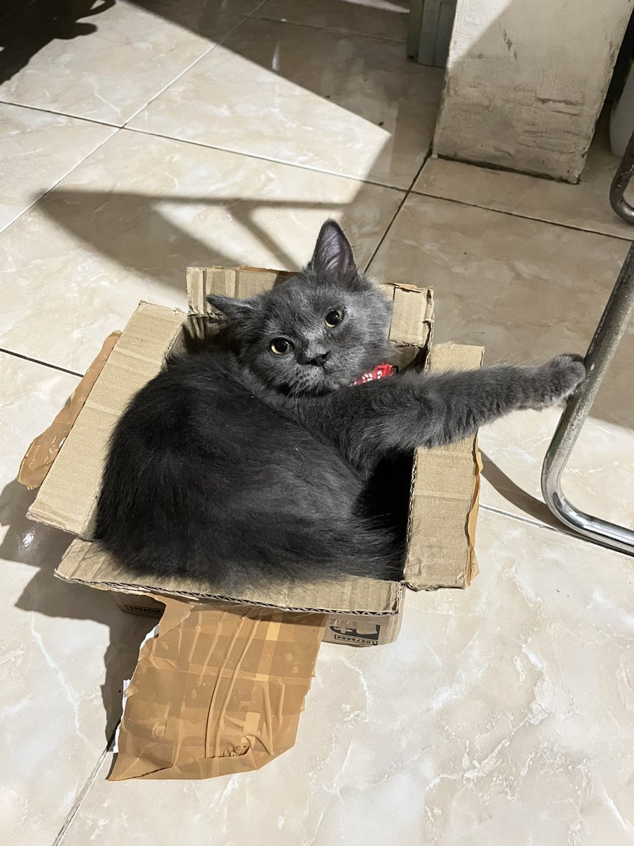 boipimpah's tweet image. yang babu beli vs yang aku pilih :3 :3 :3