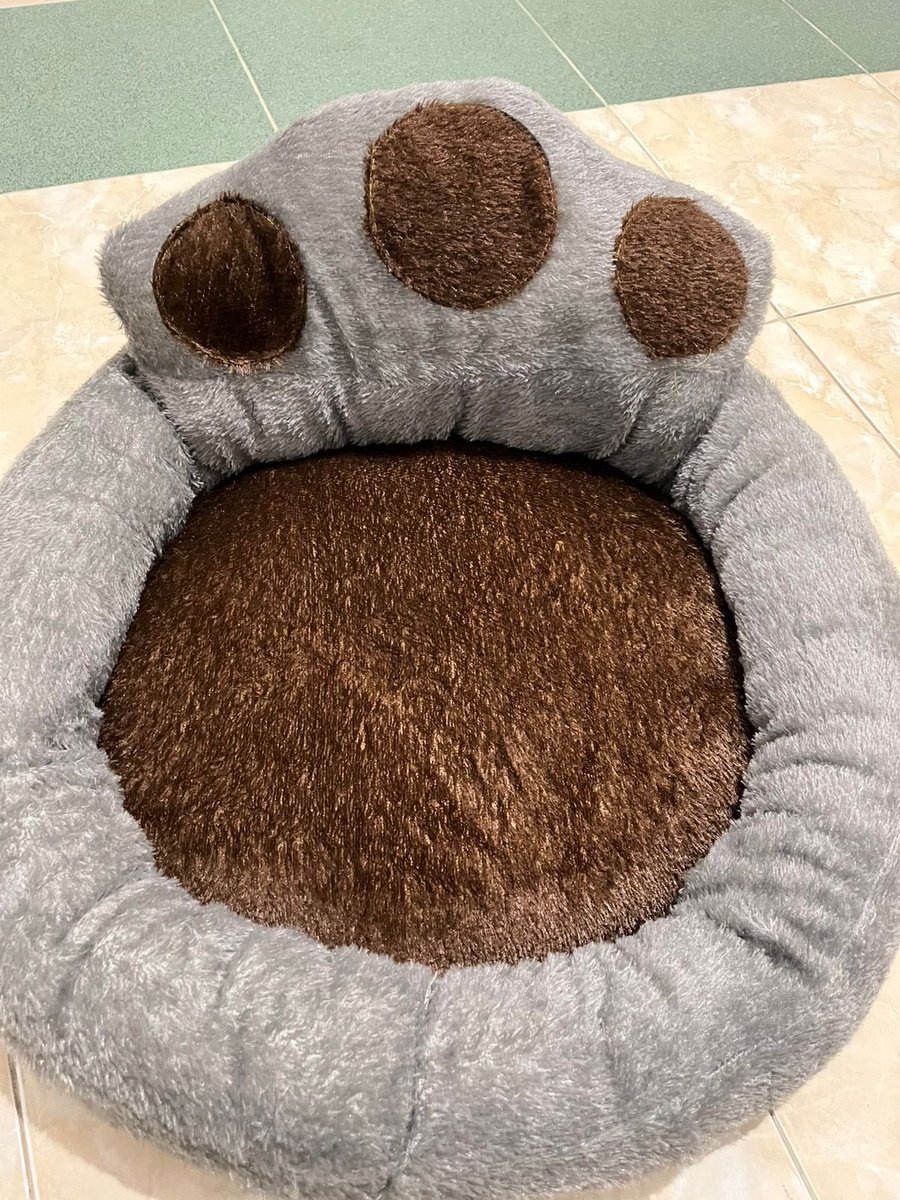 boipimpah's tweet image. yang babu beli vs yang aku pilih :3 :3 :3