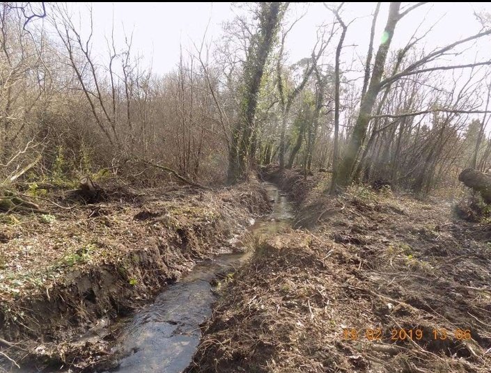 Según o artigo periodístico, o 30% das árbores cortadas nun río, baixo declaración responsable, sería algo así.
elcorreogallego.es/galicia/2024/1…