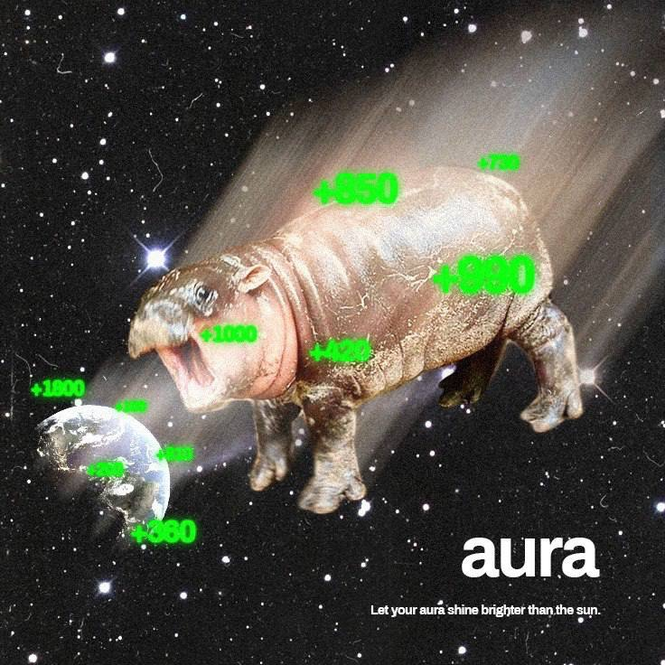 y_Light77's tweet photo. @lynk0x $aura changed my life and it will change yours too✨ https://t.co/vScpbPURHj