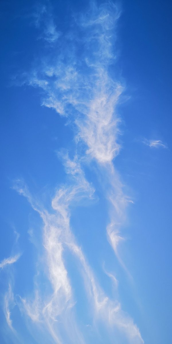 blue_rose443's tweet photo. 畑仕事を手伝っている時にふと空を見上げたら、大きな大きな龍神様が見守ってくださっていました✨

毎日生きていられる。それだけで感謝です🙏

♯雲  ♯空  ♯龍  ♯神様 https://t.co/fS7QWQB3oA