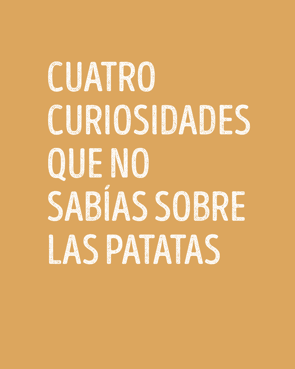 FreshNatur's tweet photo. 🥔✨ Las patatas esconden muchas curiosidades que no todos conocemos… ¡y en Freshnatur nos encanta compartirlas contigo! 🌱

#Freshnatur #Patatas #CuriosidadesDeLaPatata #NutricionSaludable #AlimentacionNatural #Bienestar https://t.co/ZjbKo0dkuc