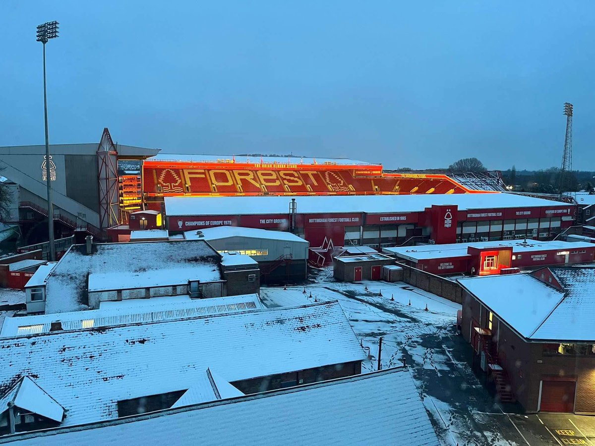 NFFC Pics tweet media