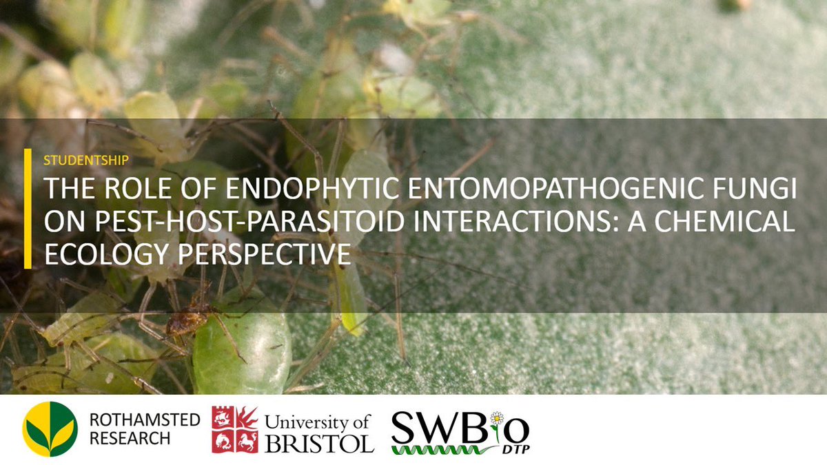 Lucy Alford (@drlucyalford) on Twitter photo Fully-funded PhD position with <a href="/G_A_Thomas/">Gareth Thomas</a> <a href="/Rothamsted/">Rothamsted Research</a> and myself <a href="/BristolBioSci/">University of Bristol Biological Sciences</a> on entomopathogenic fungi and pest-host-parasitoid interactions 🌽
DEADLINE 11 December
Apply here 👉 swbio.ac.uk Fully-funded PhD position with <a href="/G_A_Thomas/">Gareth Thomas</a> <a href="/Rothamsted/">Rothamsted Research</a> and myself <a href="/BristolBioSci/">University of Bristol Biological Sciences</a> on entomopathogenic fungi and pest-host-parasitoid interactions 🌽
DEADLINE 11 December
Apply here 👉 swbio.ac.uk