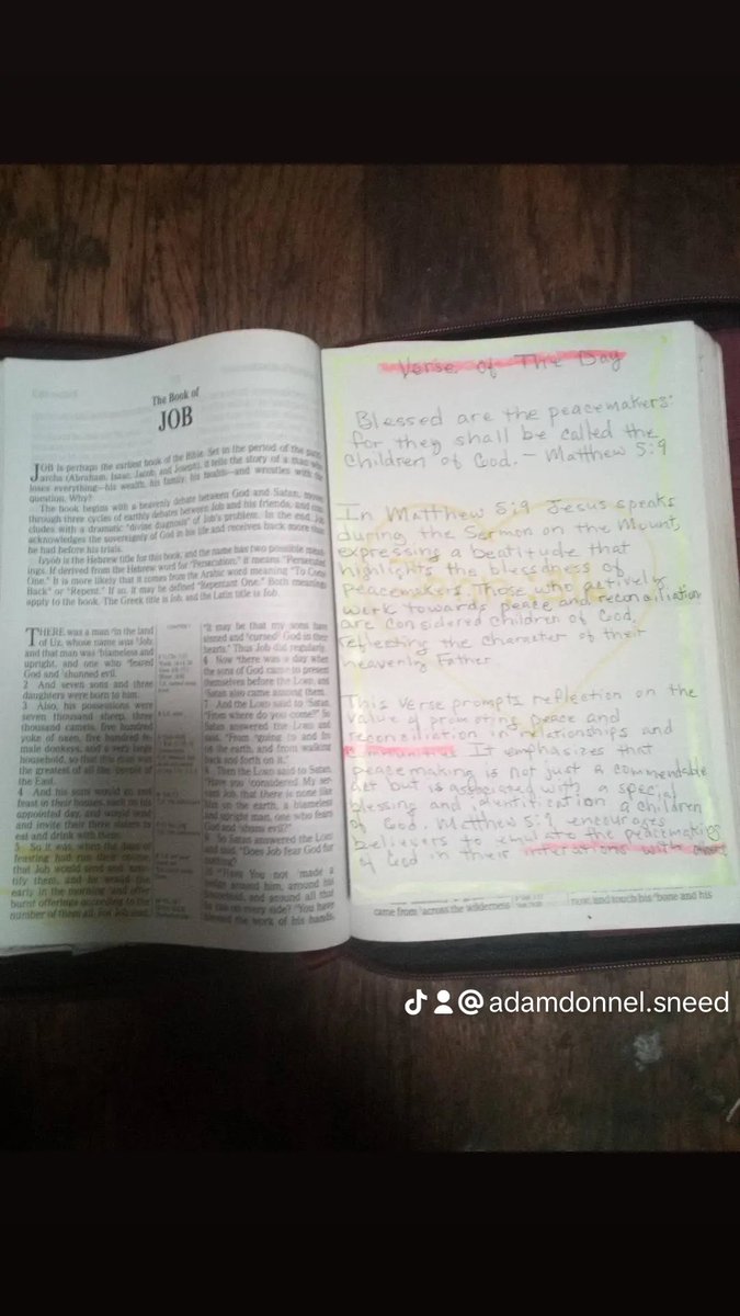 Adam Sneed (@sneedadam96183) on Twitter photo 