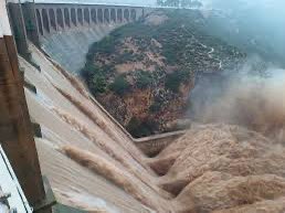 Capitana_espana's tweet photo. Teresa Ribera no puede ser comisaria europea ni seguir un día más en el Parlamento Europeo, y mucho menos en libertad, @vonderleyen .

Ribera ordenó descargar 7.000 millones de litros de agua del embalse de Forata sin previo aviso, desbordando el río Magro y provocando graves daños materiales e incluso la muerte de personas. Esta negligencia tuvo consecuencias devastadoras: inundaciones masivas, familias desplazadas y pérdidas irreparables.

En un país normal, Teresa Ribera debería ser detenida, acusada de homicidio imprudente y responder por la gestión criminal de este desastre.

¿Hasta cuándo vamos a permitir que quienes deberían protegernos tomen decisiones que arruinan vidas y destruyen comunidades sin rendir cuentas?
