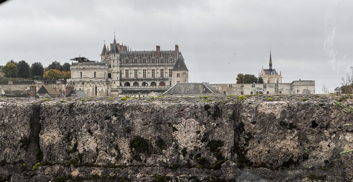 Être président du @cidoi37_41, c’est le privilège de rencontrer des infirmières engagées, tous modes d’exercice, des deux départements. C’est aussi (re)découvrir les paysages des châteaux de la Loire. #FiertéInfirmière #ValDeLoire