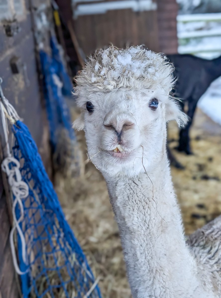 mark easter tweet media